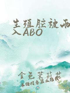 生殖腔被两根进入ABO
