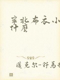 宁北布衣小说叫什么