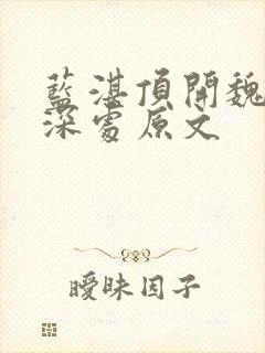 蓝湛顶开魏婴的深处原文