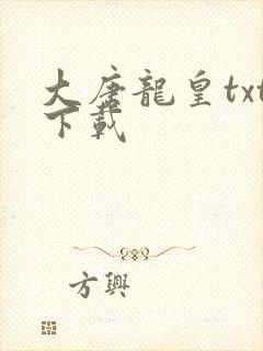大唐龙皇txt下载