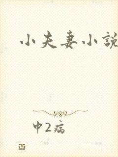 小夫妻小说