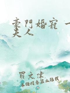 豪门婚宠 一品夫人
