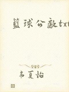 篮球公敌txt