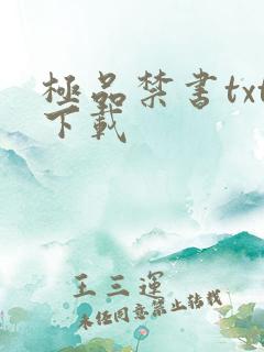 极品禁书txt下载