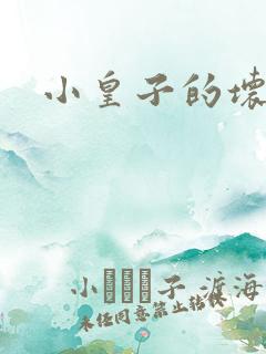 小皇子的坏王妃