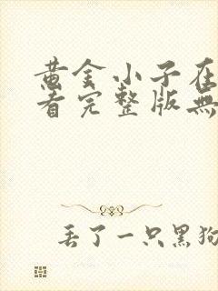 黄金小子在线观看完整版无删减高清