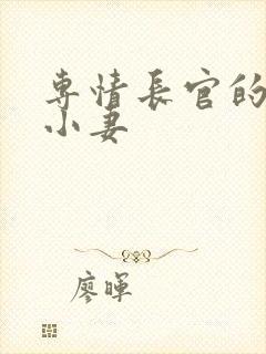 专情长官的天价小妻