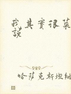 我其实很菜的小说