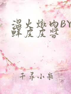 温火炖肉BY海鲜皮皮酱