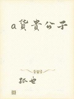 a货贵公子