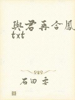 与君再合凤求凰txt