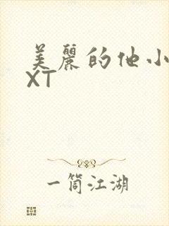 美丽的他小说TXT