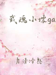 武魂小坏ga
