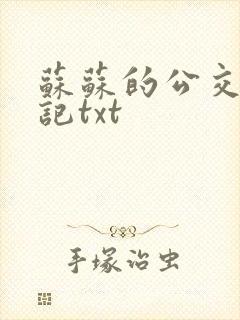 苏苏的公交车日记txt