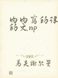 肉肉写的很细致的文np
