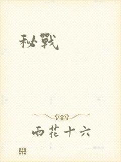 秘战