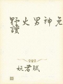 野火男神免费阅读