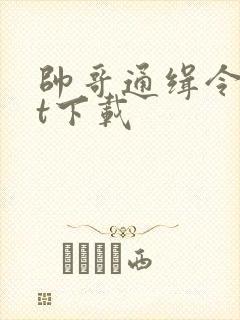 帅哥通缉令txt下载