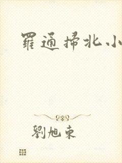 罗通扫北小说