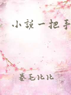 小说一把手