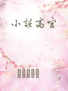 小说高官