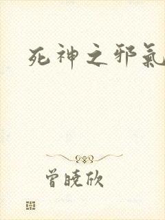 死神之邪气一护