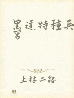 黑道特种兵逆苍穹