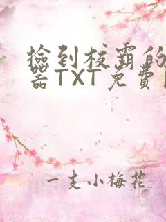 捡到校霸的遥控器TXT免费阅读