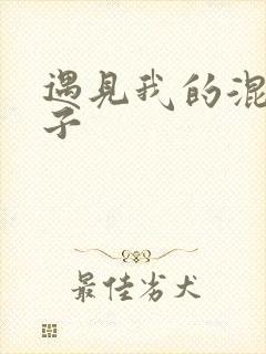 遇见我的混血王子