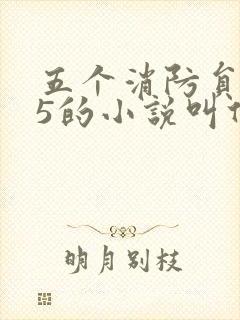 五个消防员1v5的小说叫什么