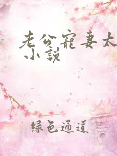 老公宠妻太甜蜜 小说