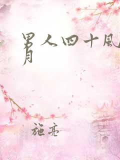 男人四十风花雪月