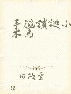 手腕锁链小黑屋木马