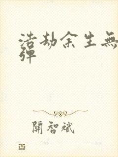 浩劫余生无限子弹