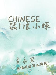 CHINESE猛1浪小辉