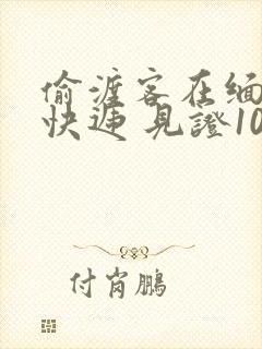 偷渡客在缅北送快递 见证100种逃亡