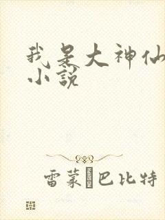 我是大神仙时江小说