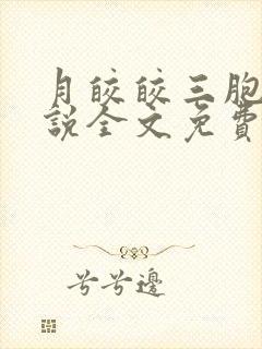 月皎皎三胞胎小说全文免费阅读