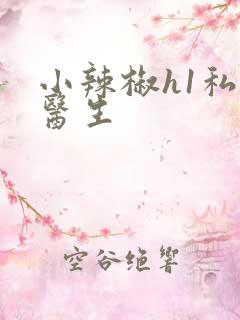 小辣椒h1私人医生