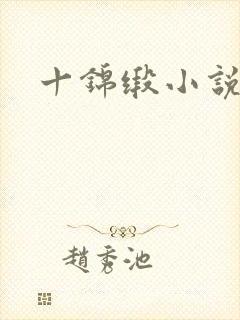 十锦缎小说