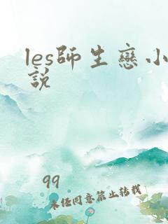 les师生恋小说