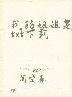 我的姐姐是美女txt下载