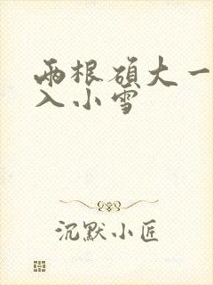 两根硕大一起挤入小雪