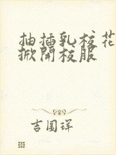 抽插乳校花老师掀开校服