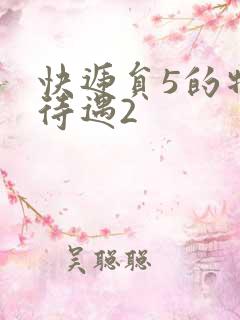 快递员5的特殊待遇2