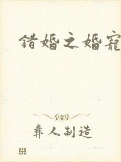 错婚之婚宠一世