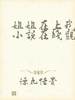 姐姐在上我在下小说在线观看