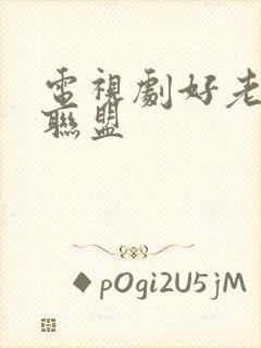 电视剧好老婆大联盟