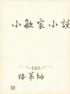 小敏家小说