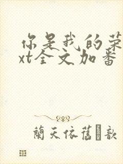 你是我的荣耀txt全文加番外